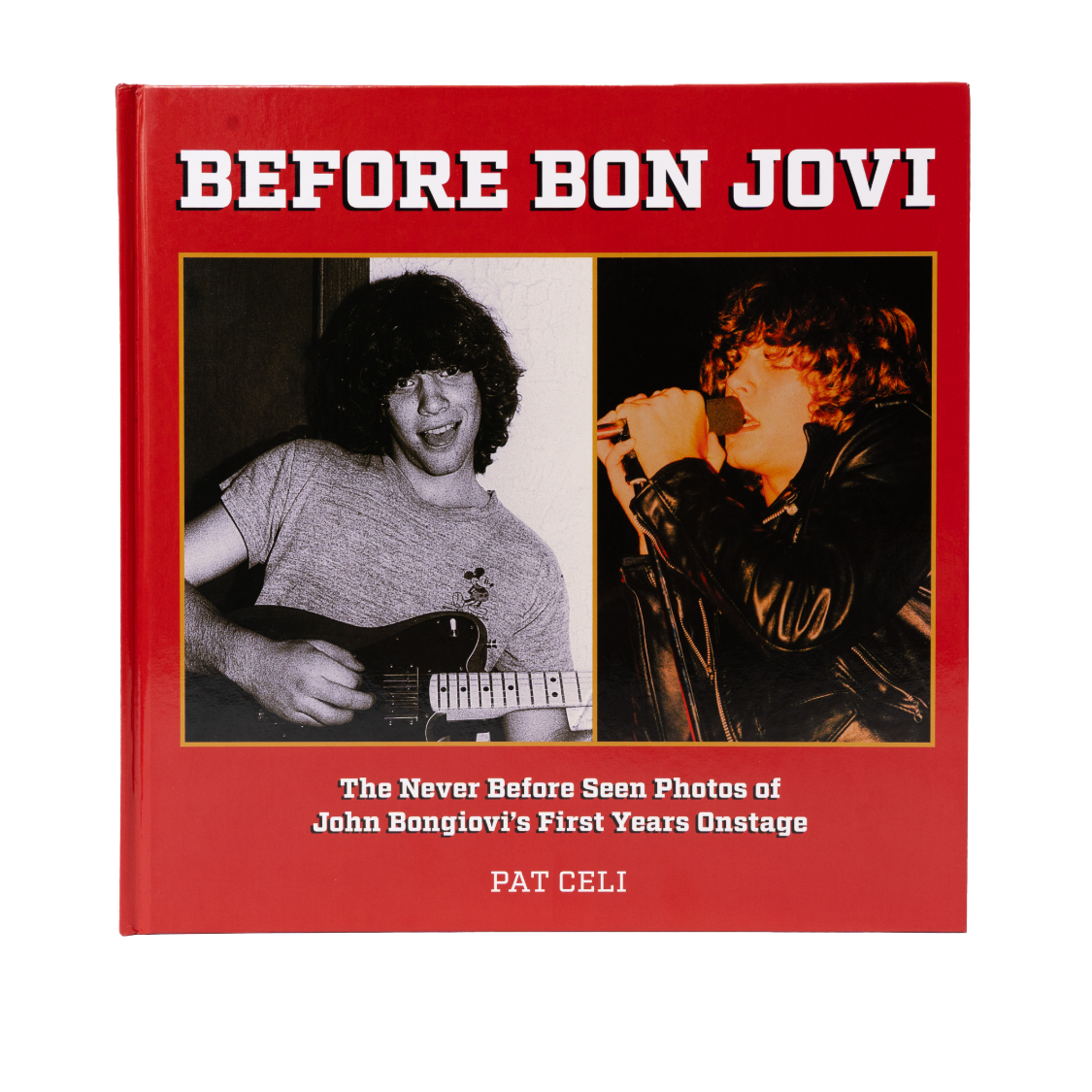 Bon Jovi Book Cover