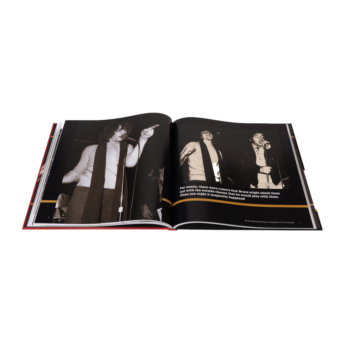 Bon Jovi Book Preview 4
